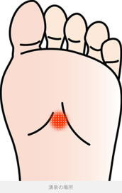 足ツボ健康法？？ | 都内の在宅医療・訪問診療｜医療法人社団 鳳優会（ほうゆうかい）