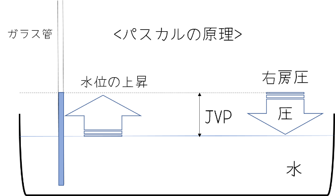 パスカルの原理