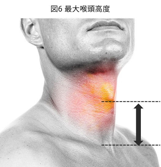 図6 最大喉頭高度