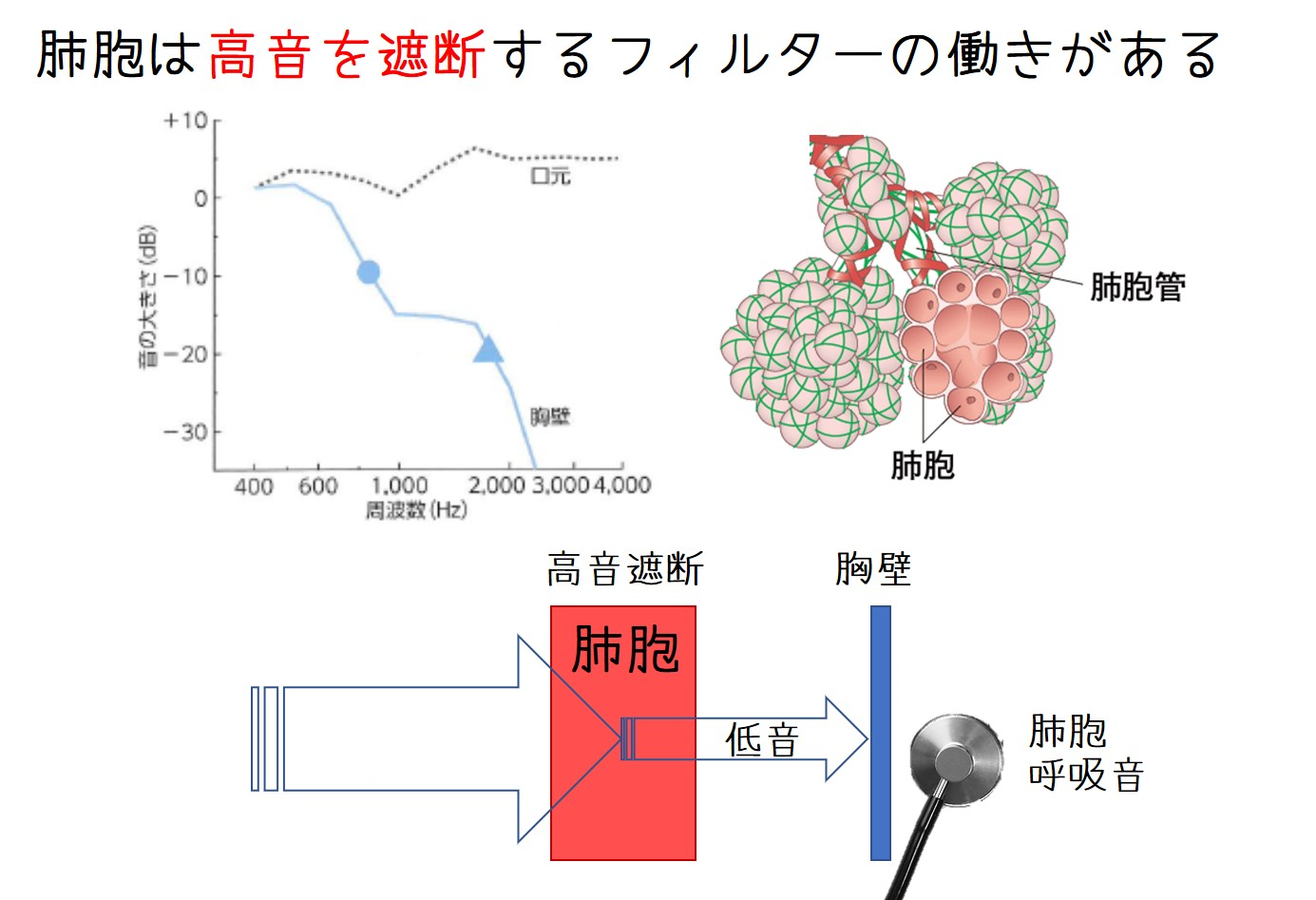 高音の呼吸音はどのように診断されますか?