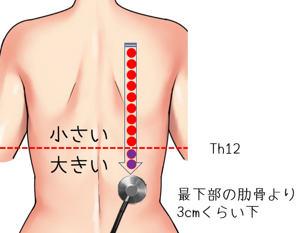 聴性打診法イメージ