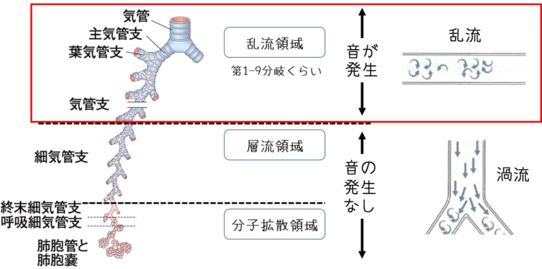 吸音はどこから発生しているのか解説図