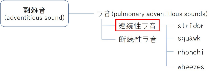 イメージ：副雑音の分類