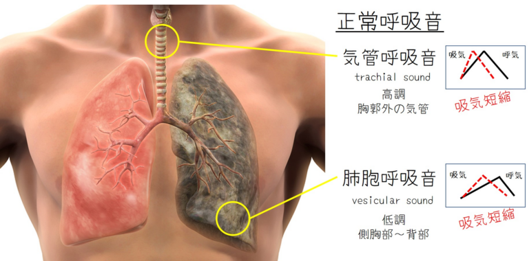 吸気時間を意識する・イメージ
