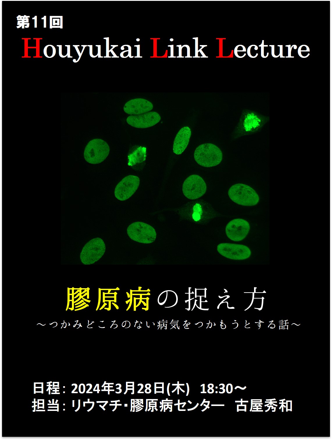 リンクレクチャー⑪ポスター